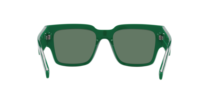 Dolce & Gabbana Sunglasses DG6184 331182