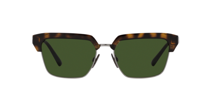 Dolce & Gabbana Sunglasses DG6185 502/71