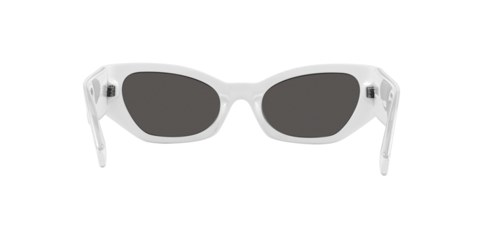 Dolce & Gabbana Sunglasses DG6186 331287