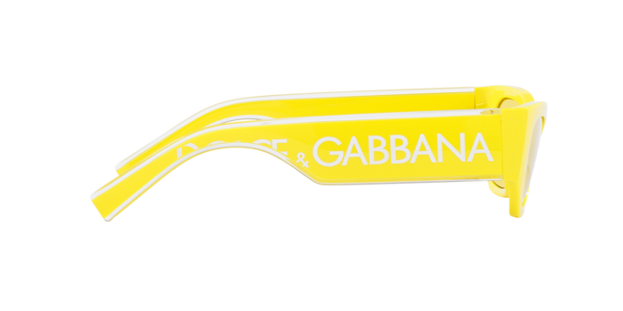 Dolce & Gabbana Sunglasses DG6186 333485