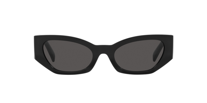 Dolce & Gabbana Sunglasses DG6186 501/87