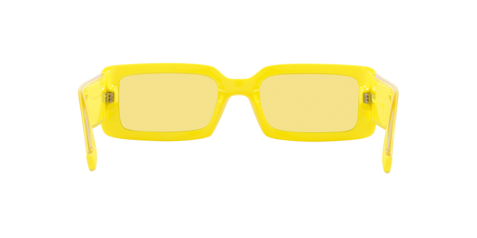 Dolce & Gabbana Sunglasses DG6187 333485