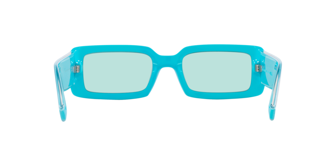 Dolce & Gabbana Sunglasses DG6187 334665