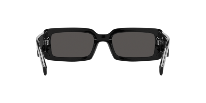 Dolce & Gabbana Sunglasses DG6187 501/87