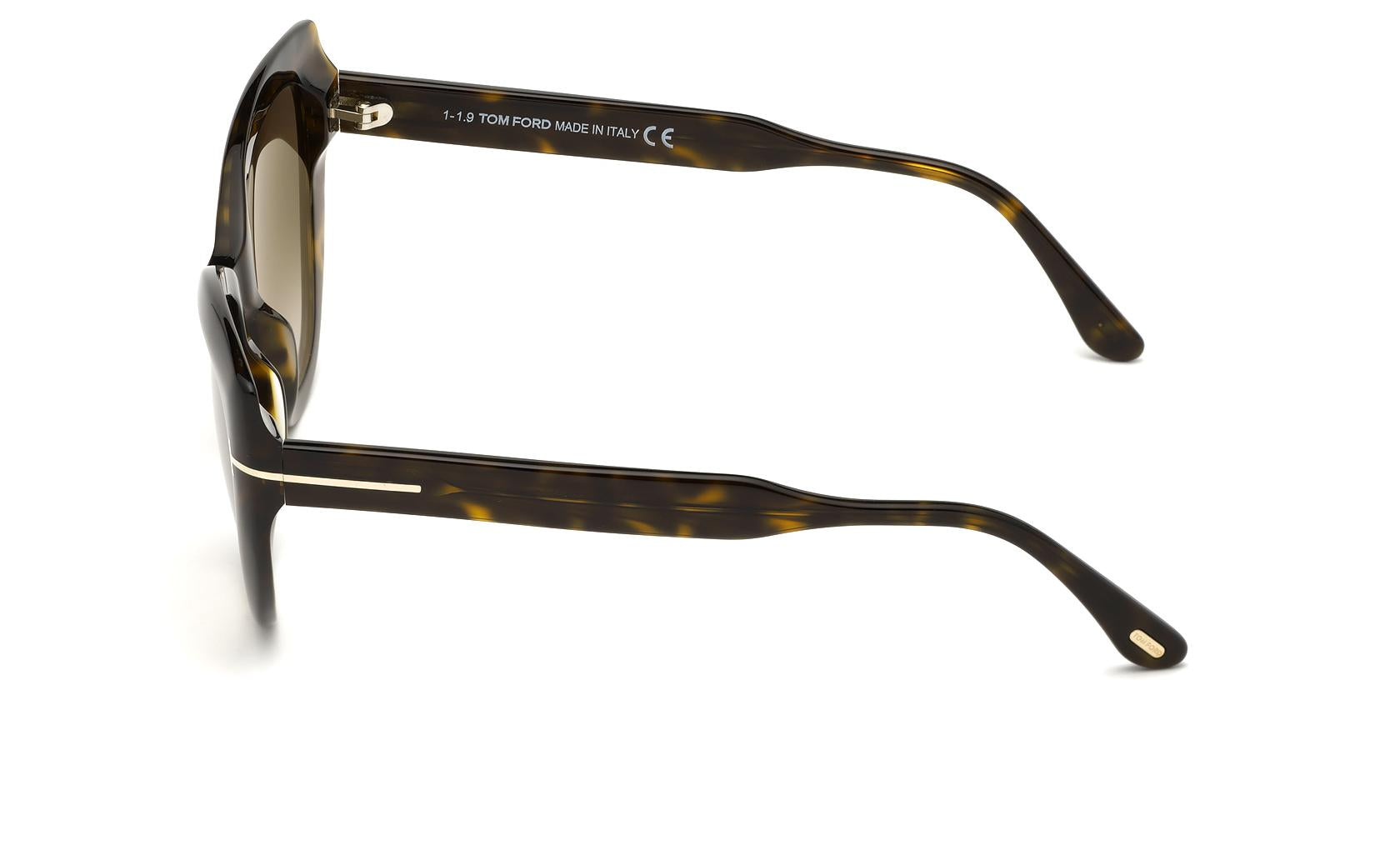 Tom Ford Anya Sunglasses FT0762 52K