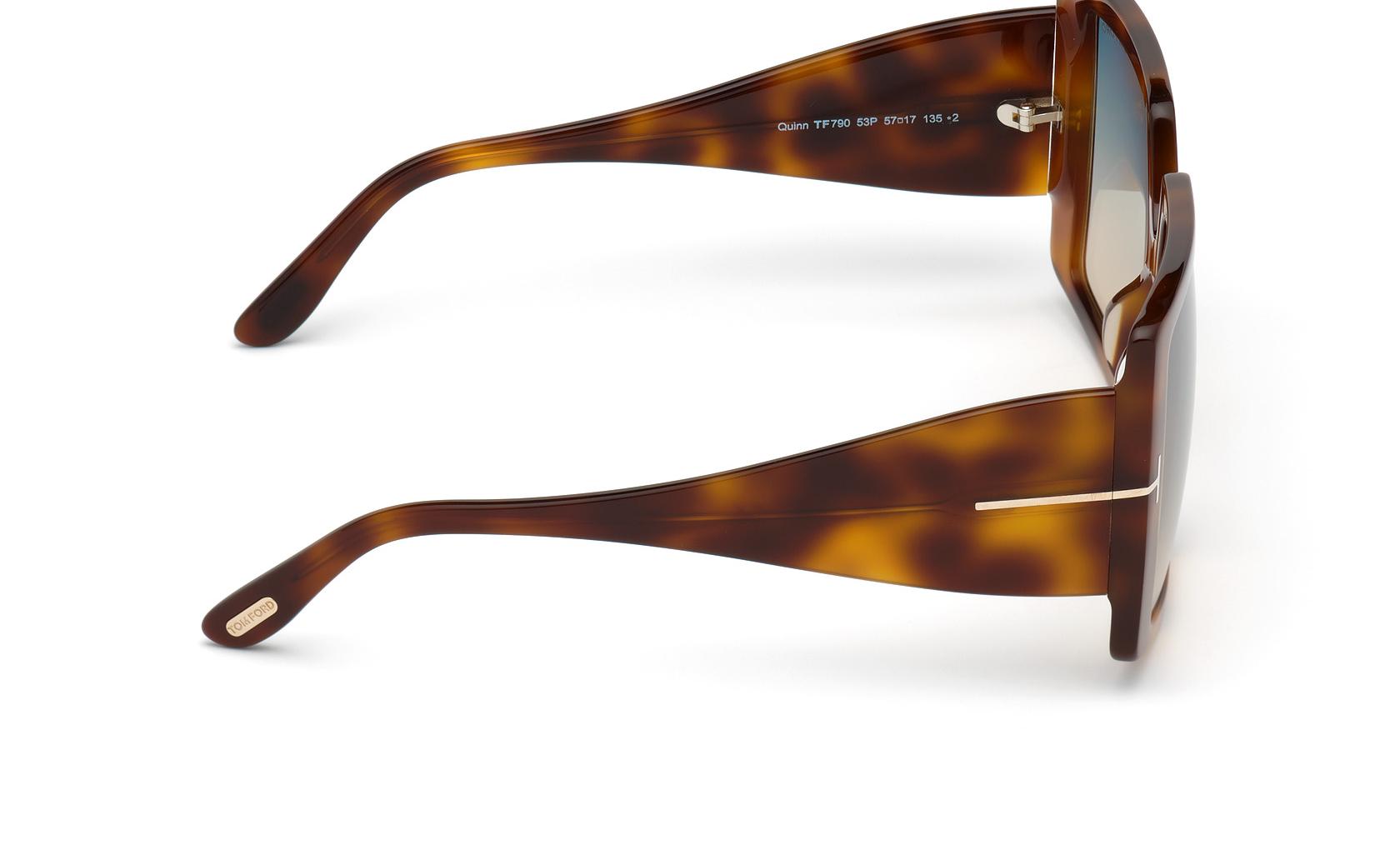 Tom Ford Quinn Sunglasses FT0790 53P