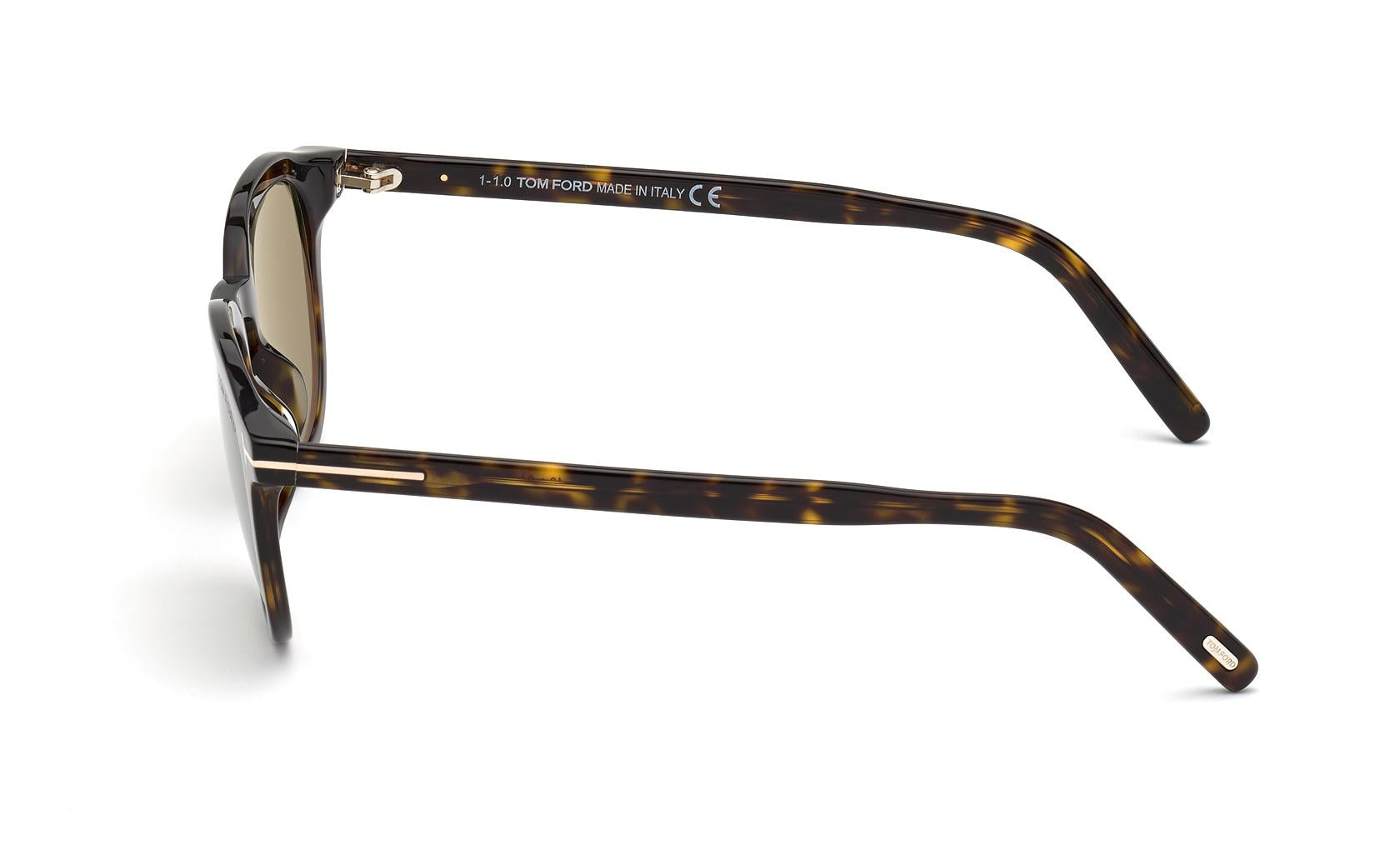 Tom Ford Pax Sunglasses FT0816 52N