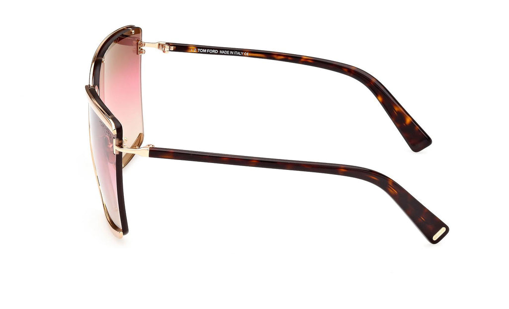 Tom Ford Elle-02 FT0936 28F - Sunglasses for Woman  display picture 1
