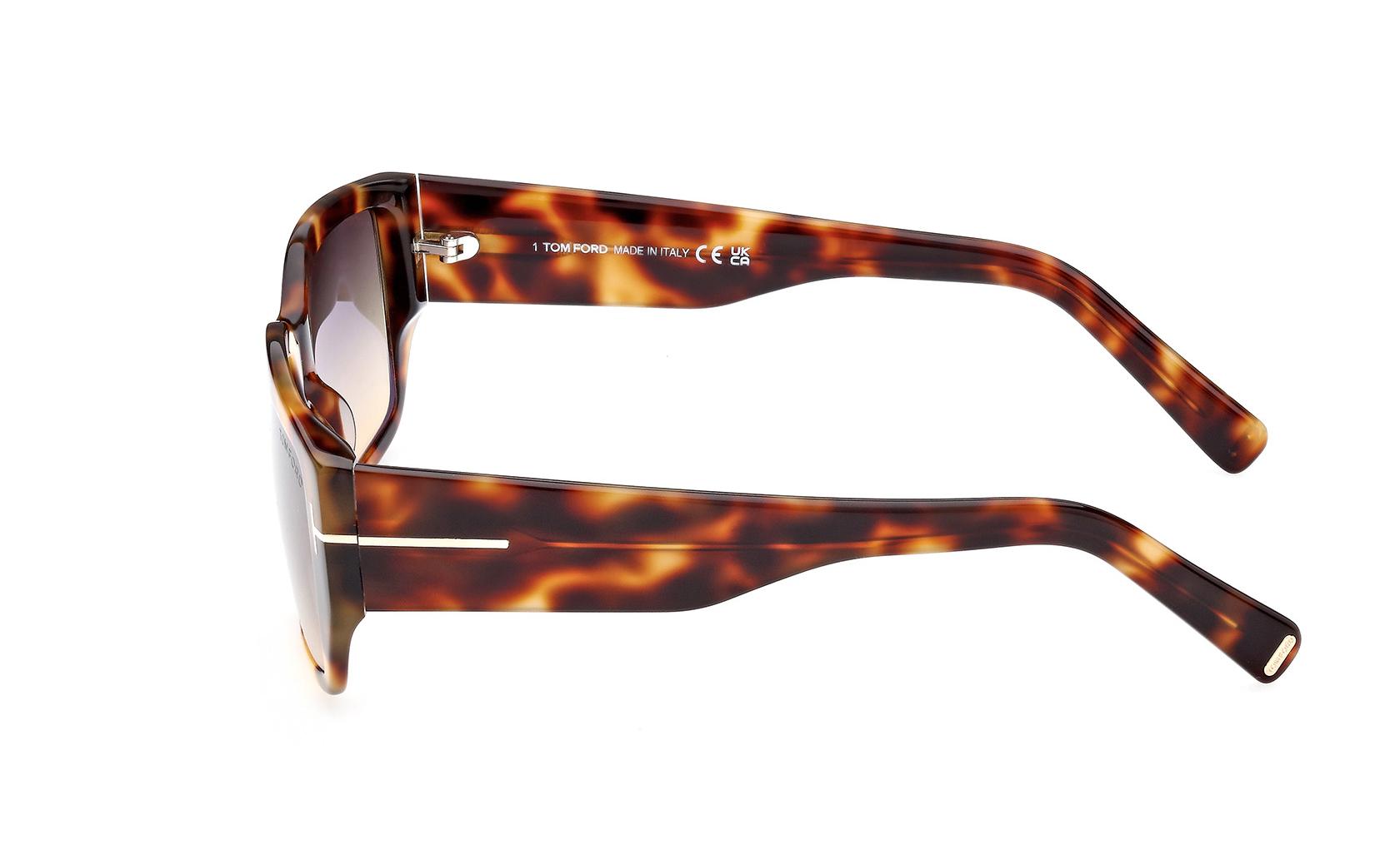 Tom Ford Silvano-02 Sunglasses FT0989 55B