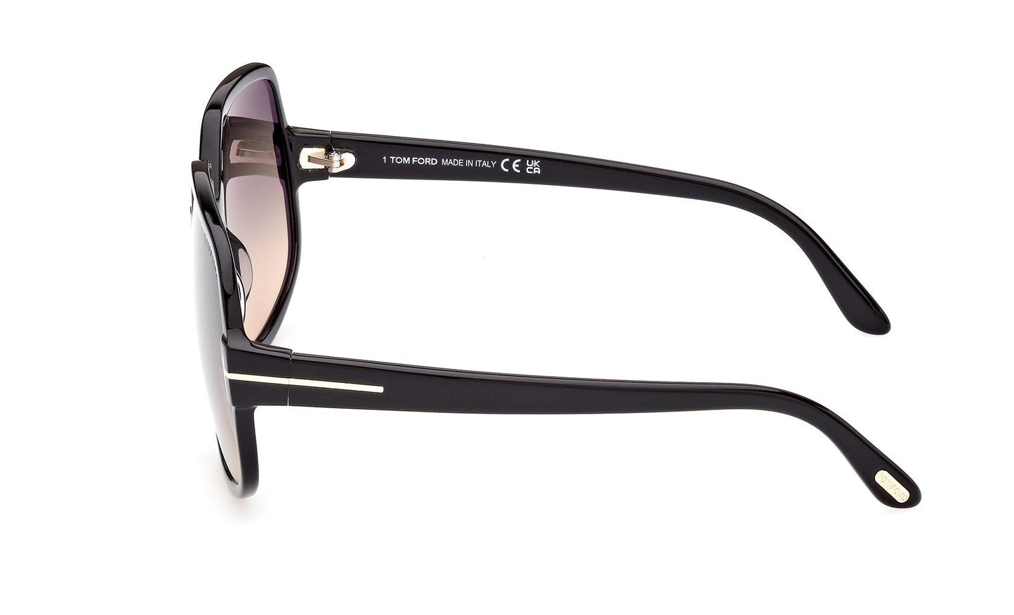Tom Ford Delphine-02 Sunglasses FT0992 01B