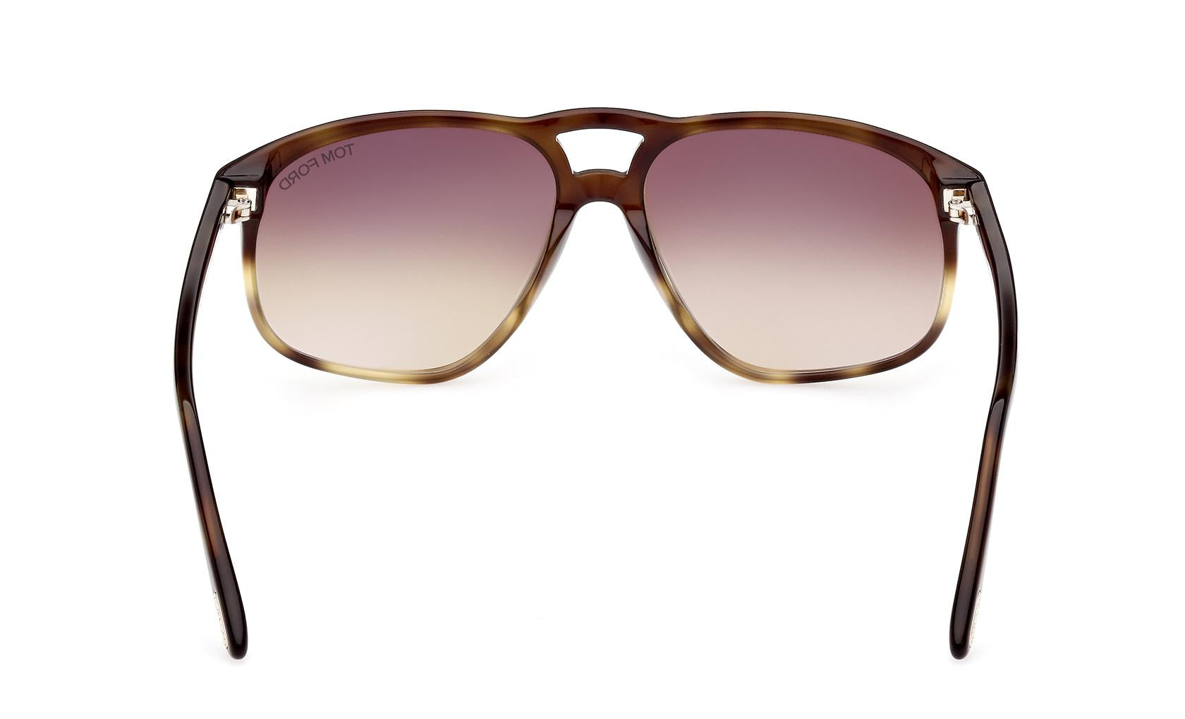 Tom Ford Pierre-02 Sunglasses FT1000 56F