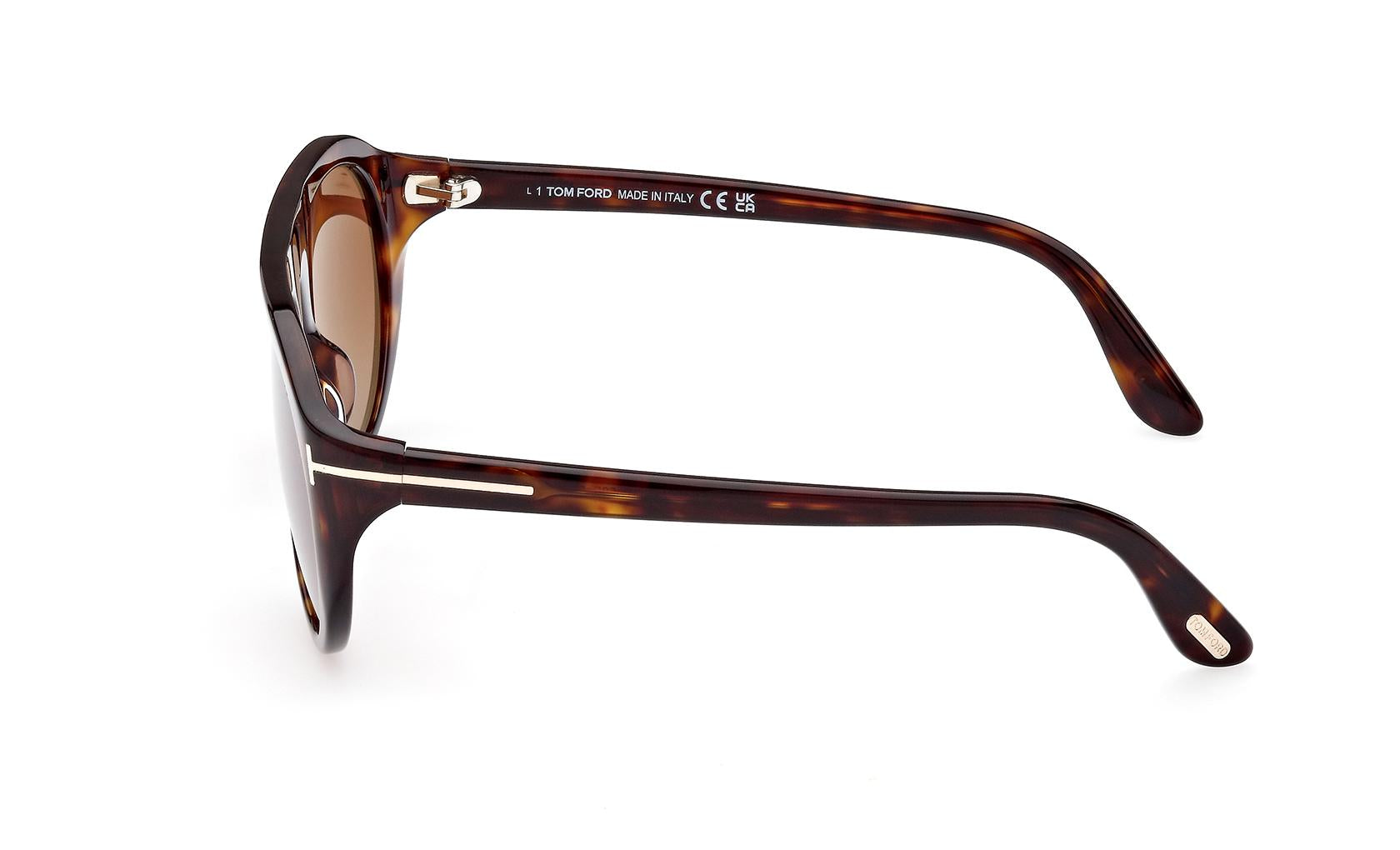 Tom Ford Rex-02 Sunglasses FT1001 52F