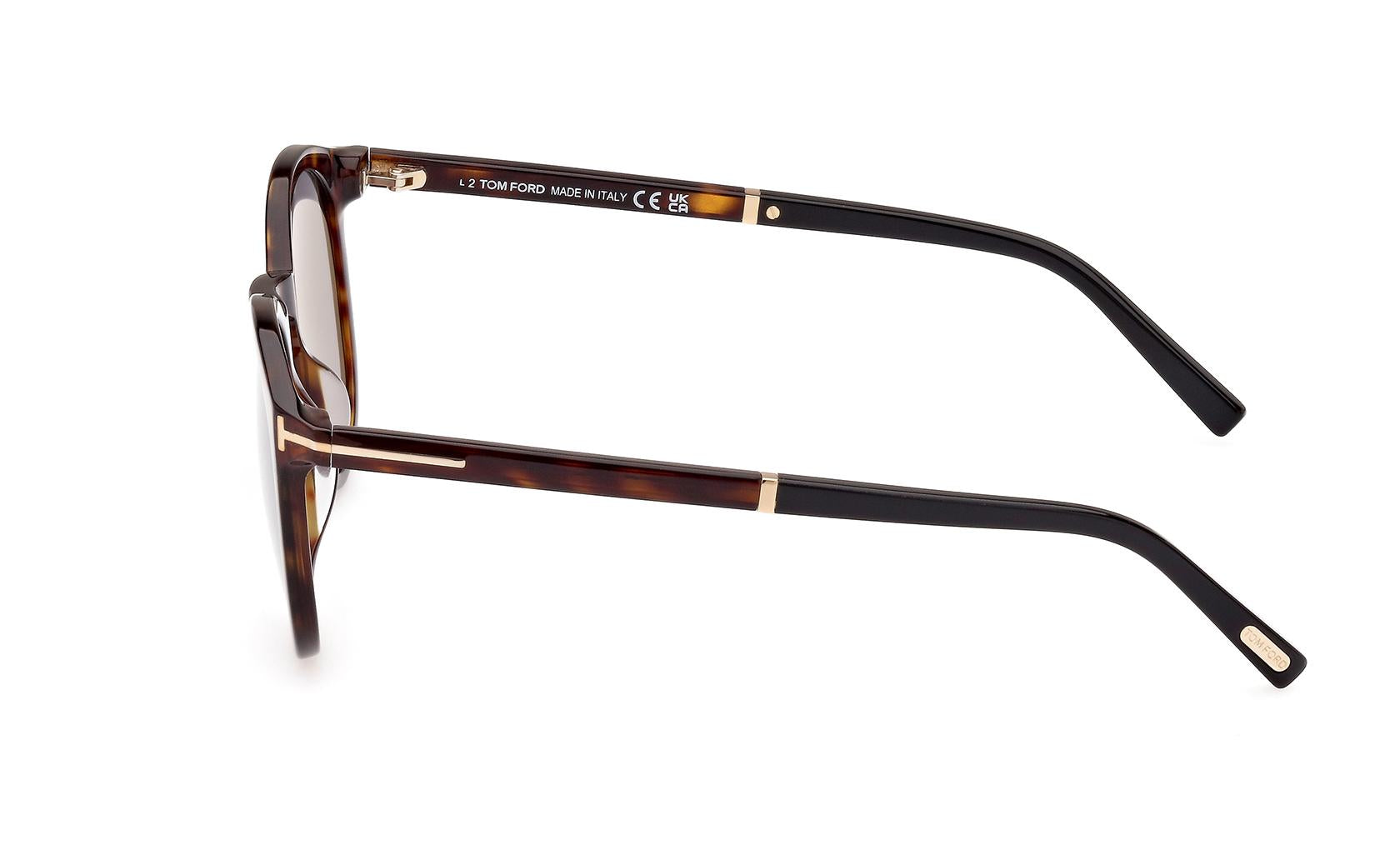 Tom Ford Elton Sunglasses FT1021 52A