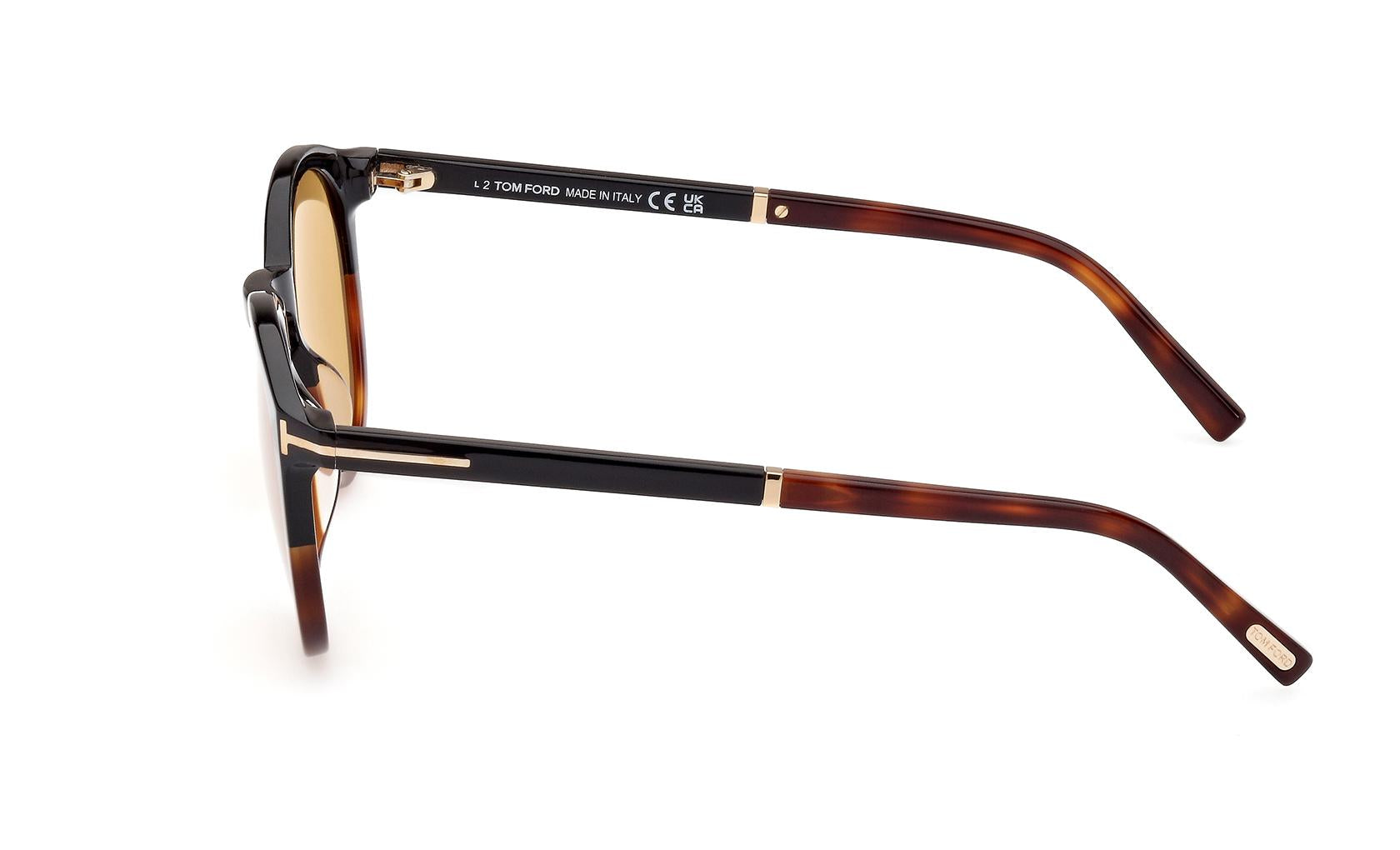 Tom Ford Elton Sunglasses FT1021 56E