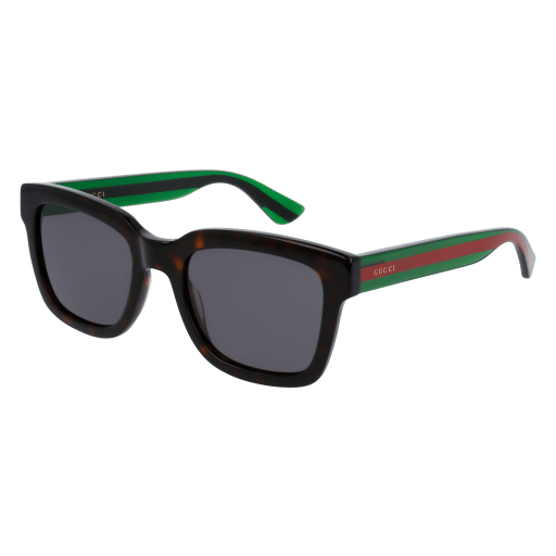 Gucci Sunglasses GG0001S 003