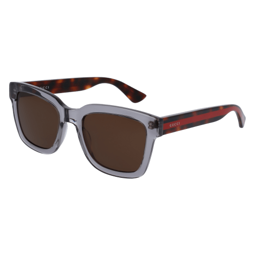 Gucci Sunglasses GG0001S 005