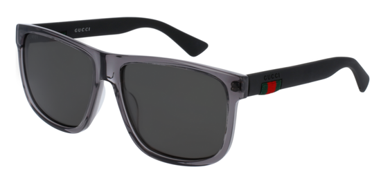 Gucci Sunglasses GG0010S 004