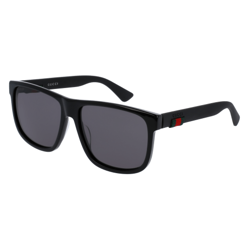 Gucci Sunglasses GG0010S 001