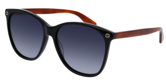 Gucci Sunglasses GG0024S 003