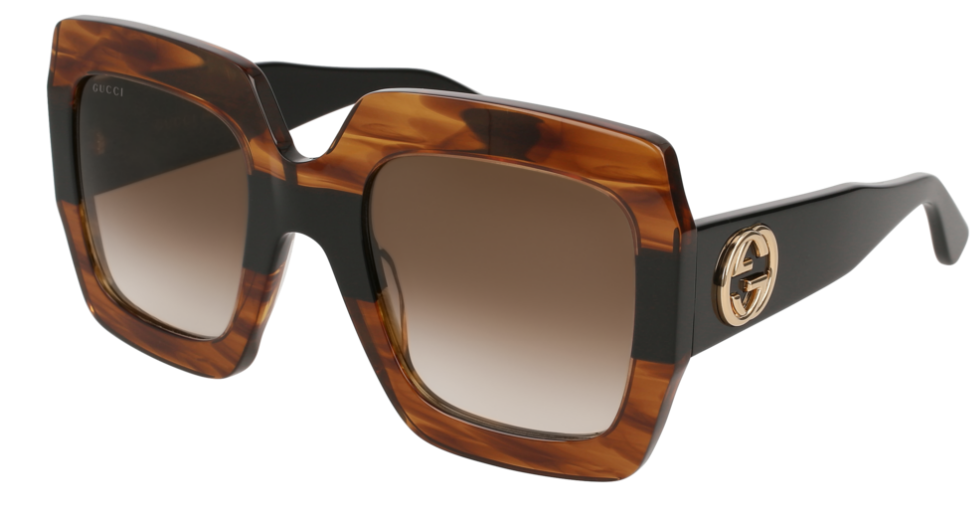 Gucci Sunglasses GG0178S 004