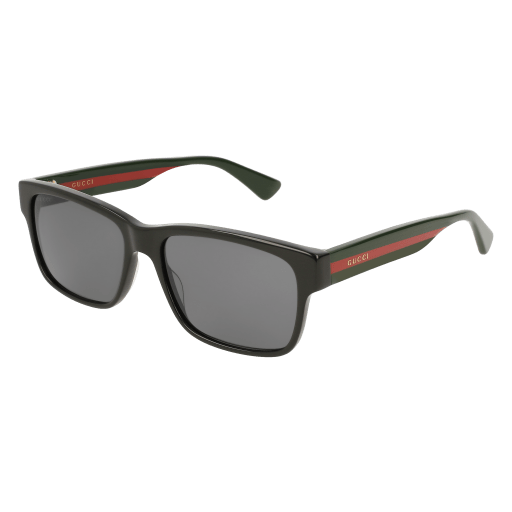 Gucci Sunglasses GG0340S 006