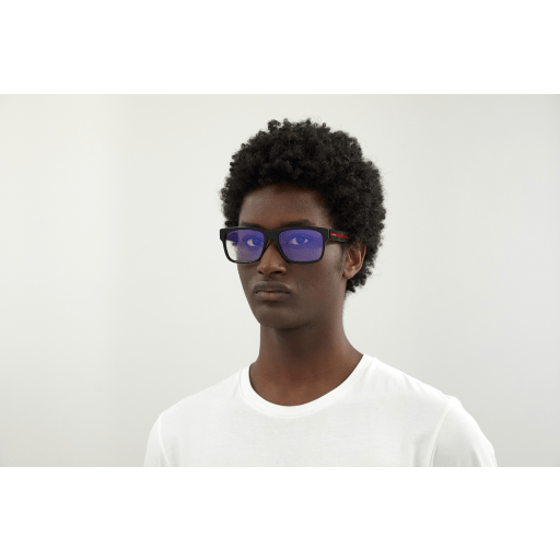 Gucci Sunglasses GG0340S 011