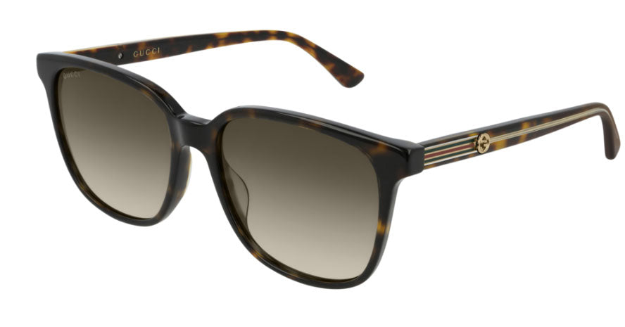 Gucci Sunglasses GG0376SN 002