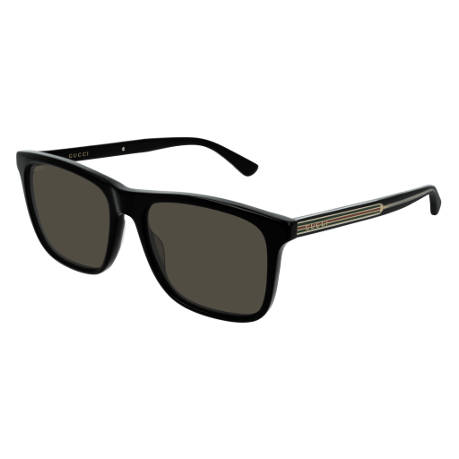 Gucci Sunglasses GG0381S 007