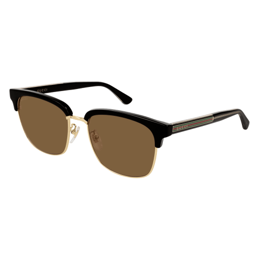 Gucci Sunglasses GG0382S 002