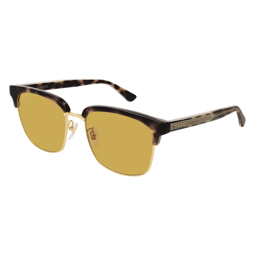 Gucci Sunglasses GG0382S 004