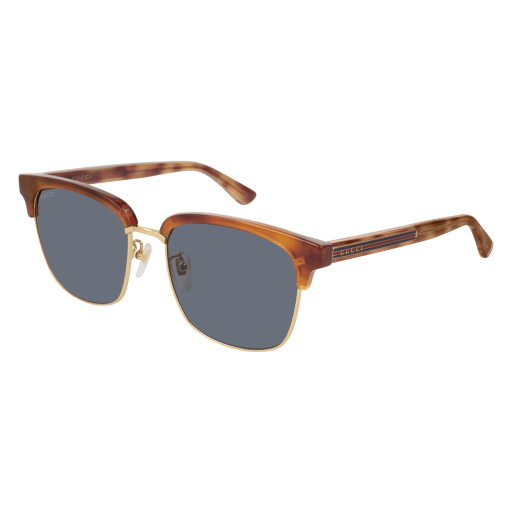 Gucci Sunglasses GG0382S 005