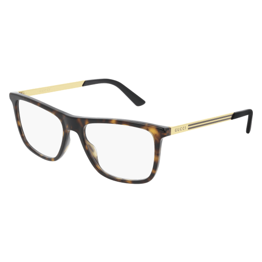Gucci Eyeglasses GG0691O 005