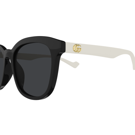 Gucci Sunglasses GG1001SK 003