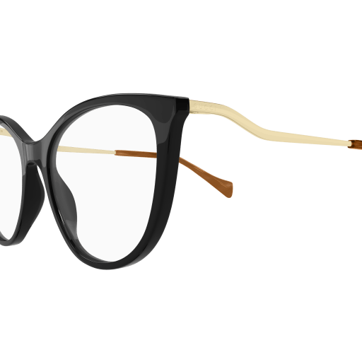 Gucci Eyeglasses GG1007O 002