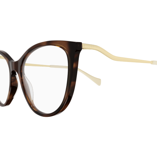 Gucci Eyeglasses GG1007O 004