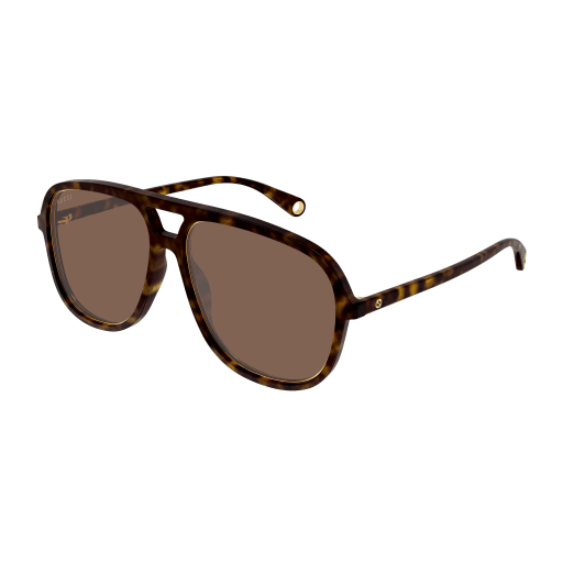 Gucci Sunglasses GG1077S 004