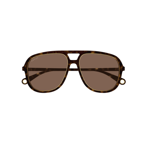 Gucci Sunglasses GG1077S 004
