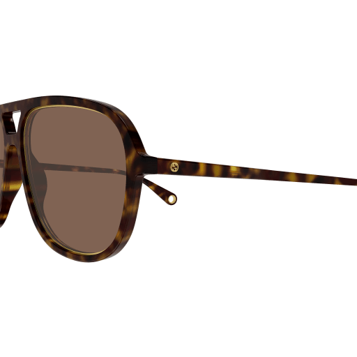 Gucci Sunglasses GG1077S 004