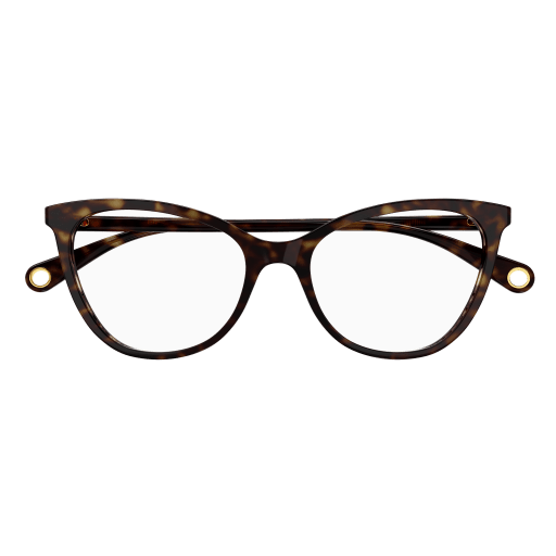 Gucci Eyeglasses GG1079O 003