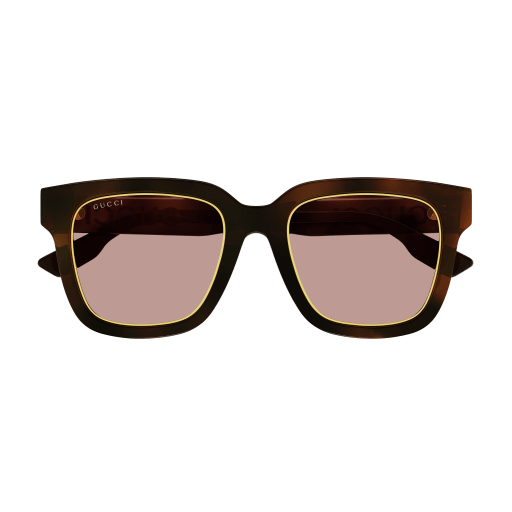 Gucci Sunglasses GG1136SA 003