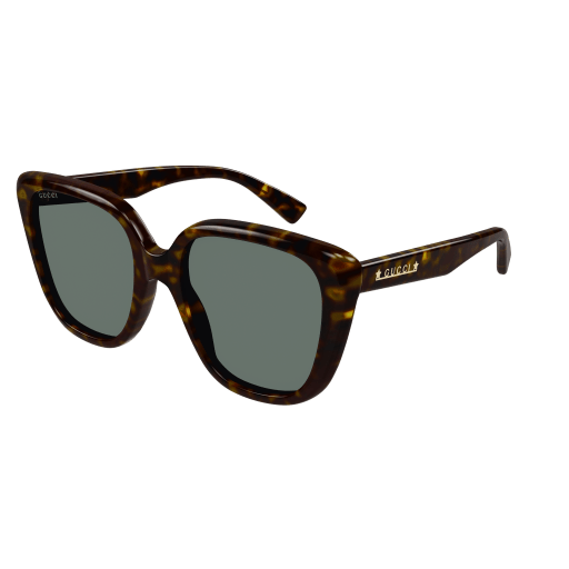 Gucci Sunglasses GG1169S 003