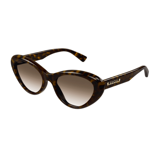 Gucci Sunglasses GG1170S 002
