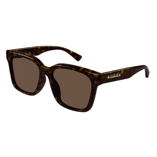 Gucci Sunglasses GG1175SK 003