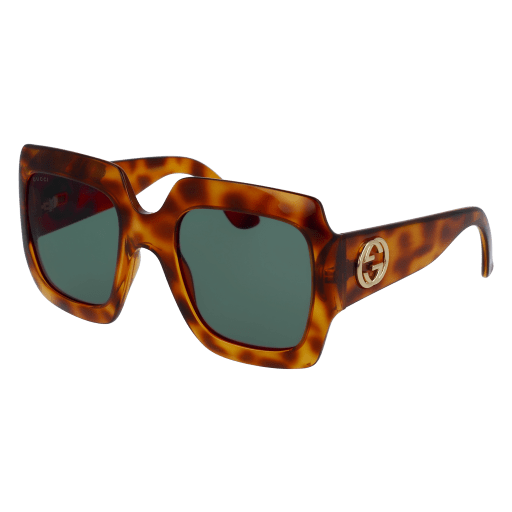 Gucci Sunglasses GG0053S 002