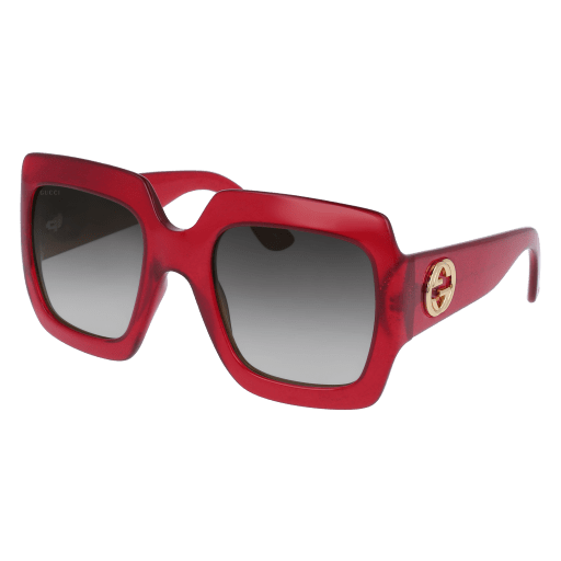 Gucci Sunglasses GG0053S 003