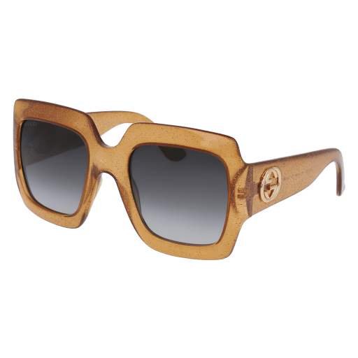 Gucci Sunglasses GG0053S 006