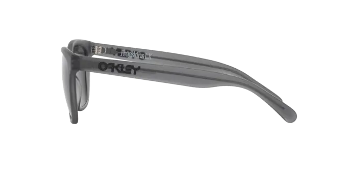 Oakley Sunglasses Frogskins Lx OO204310