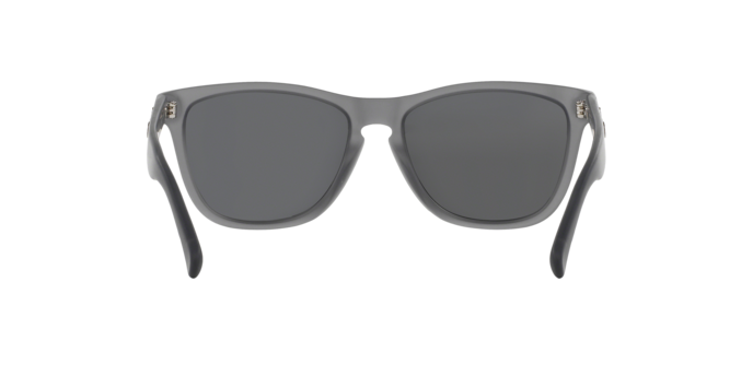 Oakley Sunglasses Frogskins Lx OO204310