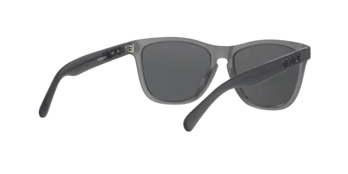 Oakley Sunglasses Frogskins Lx OO204310