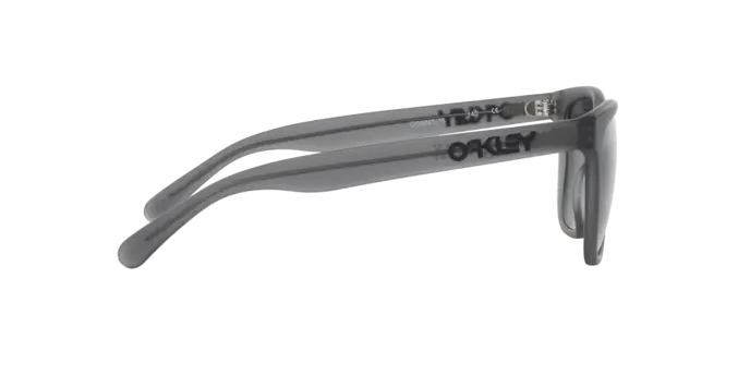 Oakley Sunglasses Frogskins Lx OO204310